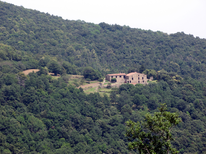 2007-07 Céret 016.jpg